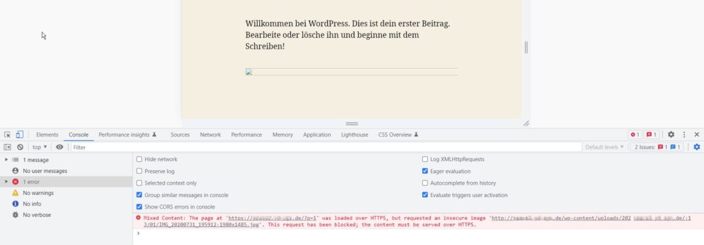 Die Developer Console (Entwicklertools) bei einer WordPress-Instanz